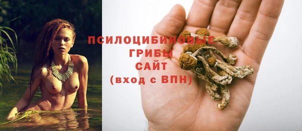 герыч Арсеньев