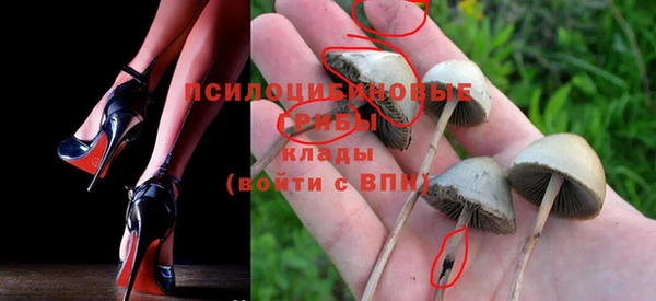 Альфа ПВП Армянск