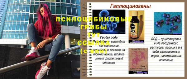 Альфа ПВП Армянск