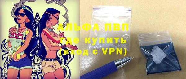 крисы Сясьстрой