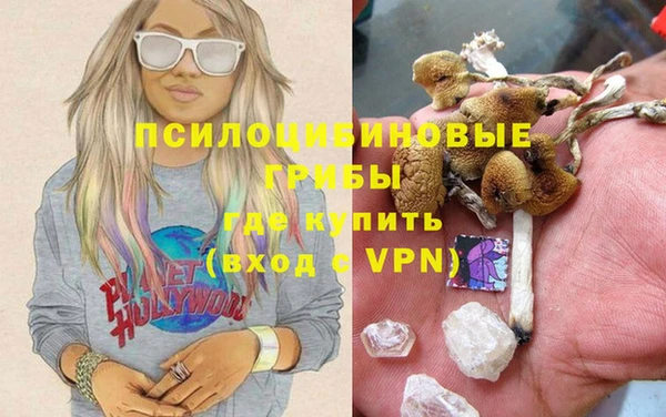 герыч Арсеньев