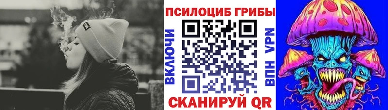 Псилоцибиновые грибы MAGIC MUSHROOMS  mega зеркало  Цимлянск 